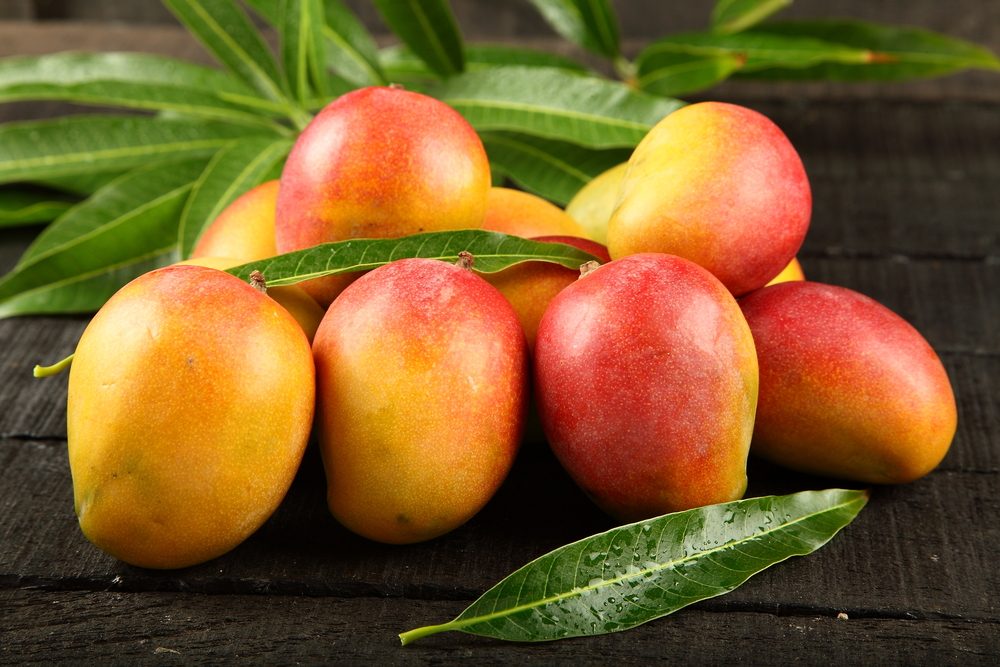 Fresh Mango Exporters