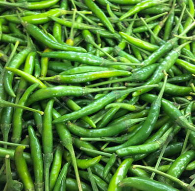 Green Chilli Exporter in India