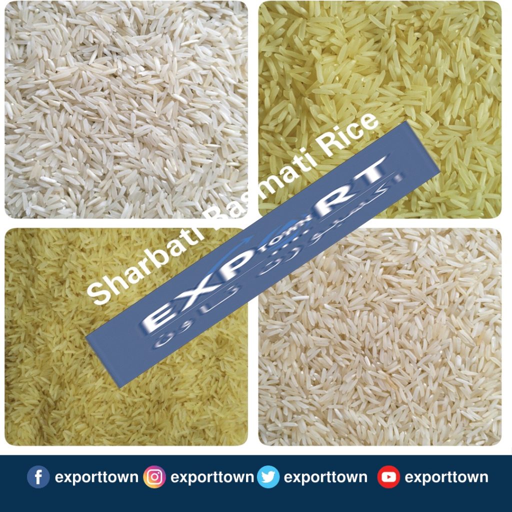 Sharbati Basmati Rice Price