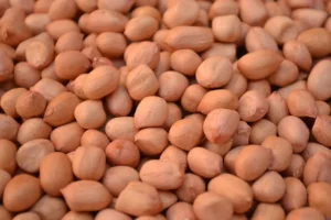 peanuts exporter from india